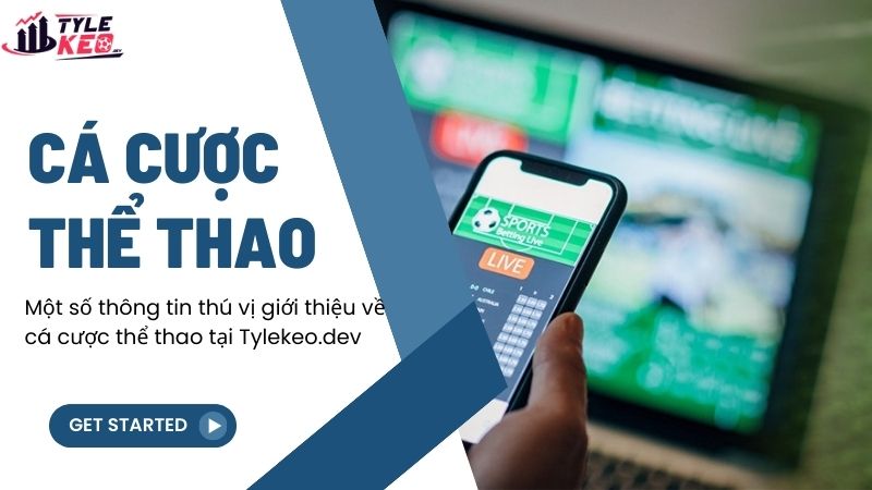 Một số thông tin thú vị giới thiệu về cá cược thể thao tại mycougarconnection.com